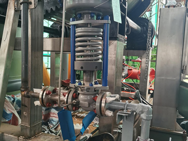 प्राकृतिक गैस Desulfurization Filter