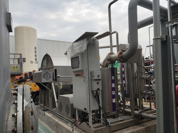 प्राकृतिक गैस Desulfurization Filter